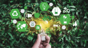 Sustainable Accounting Practices by Brisbane Firms